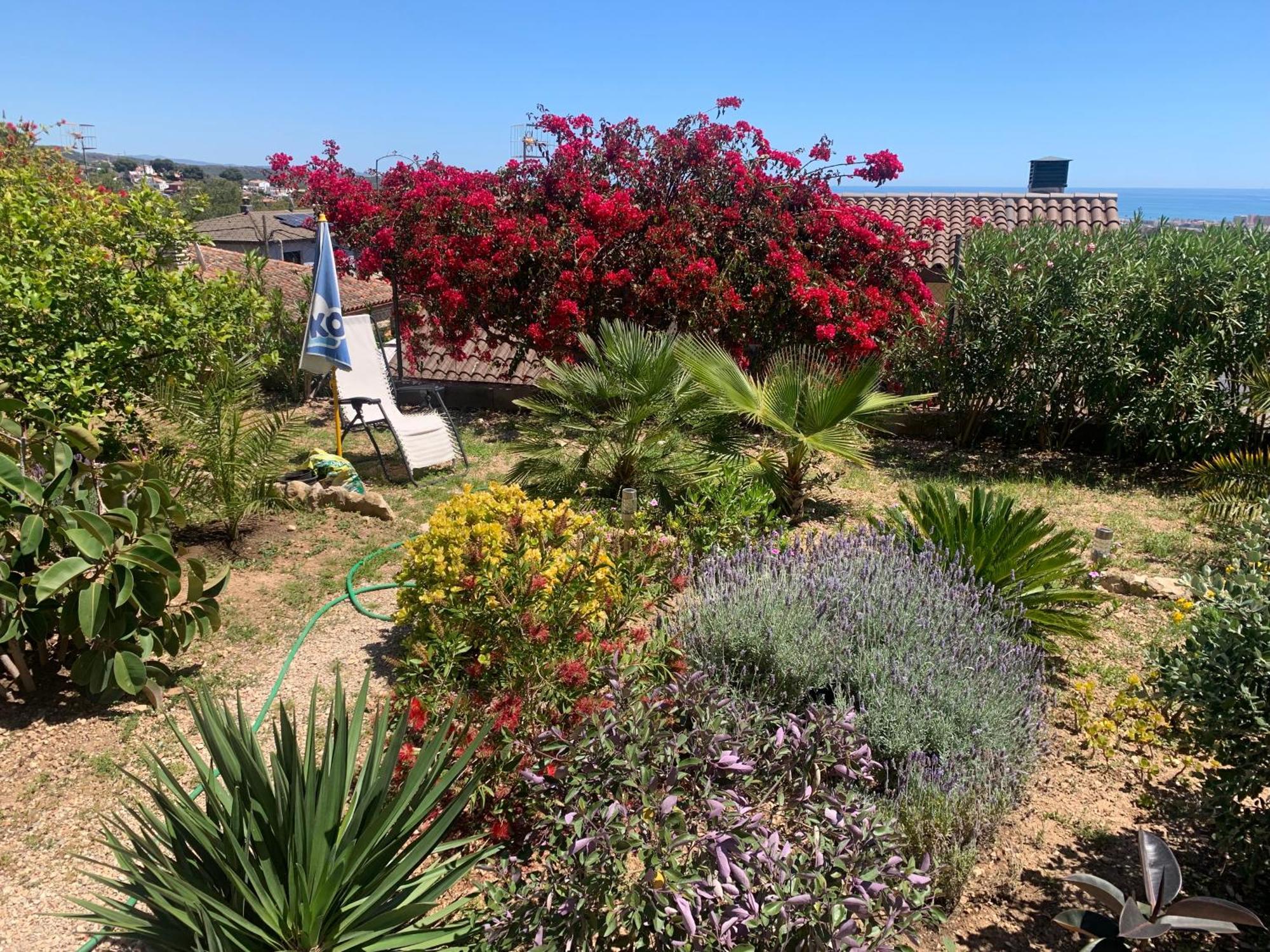 Precioso Apartamento Con Vista Al Mar Calafell Eksteriør bilde